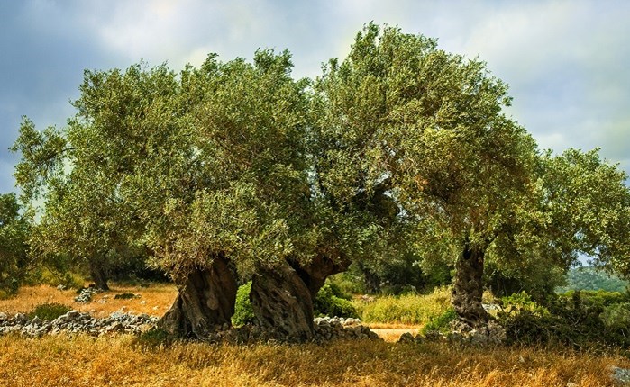 4 spec συνολικού ύψους 9,2 εκατ. ευρώ