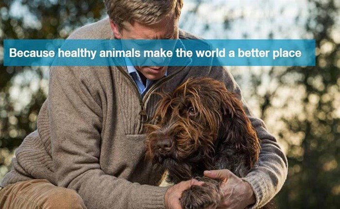Bayer: Σε Proximity και BBDO το Companion Animal
