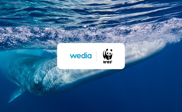 Wedia: Online πλατφόρμα για την WWF Ελλάς