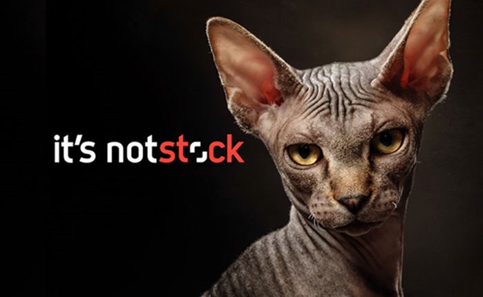 Παγκόσμια καμπάνια από τη Shutterstock