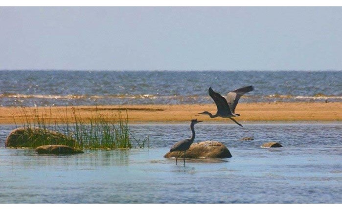 Διαγωνισμό για υπεύθυνο επικοινωνίας διενεργεί ο ΦΔΠΠΔ