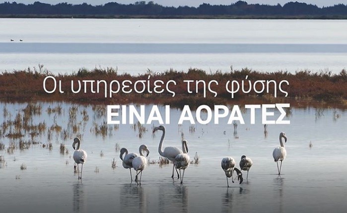 Η Unlimited δημιουργεί για τo WWF Ελλάς