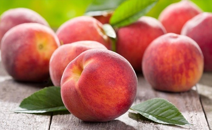 Spec 3,94 εκατ. ευρώ από την Κοινοπραξία Συνεταιρισμών -Ομάδων Παραγωγών Νομού Ημαθίας