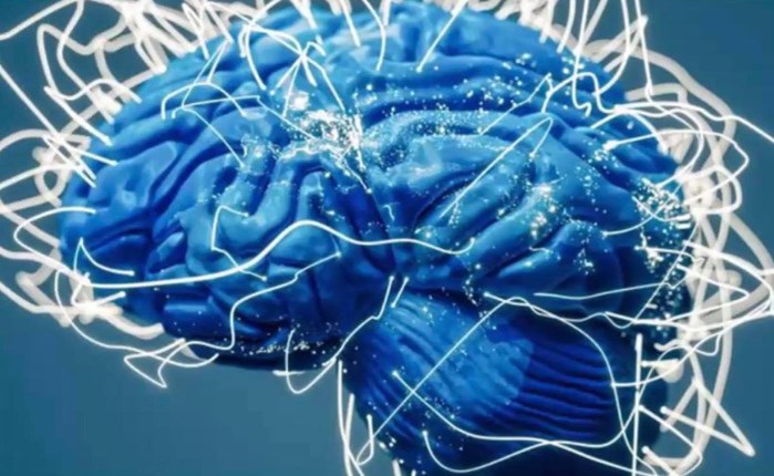 “Mind… the brain!” 