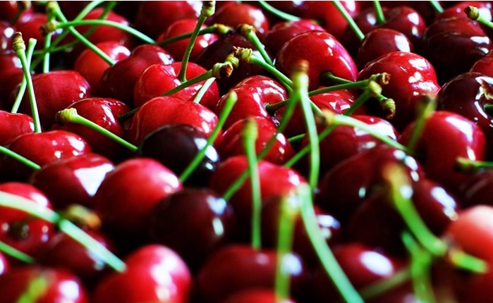 Οικονομοτεχνική: Νew business 530.000 ευρώ