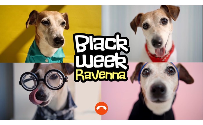 Η νέα καμπάνια της Day6 για το Black Week RAVENNA