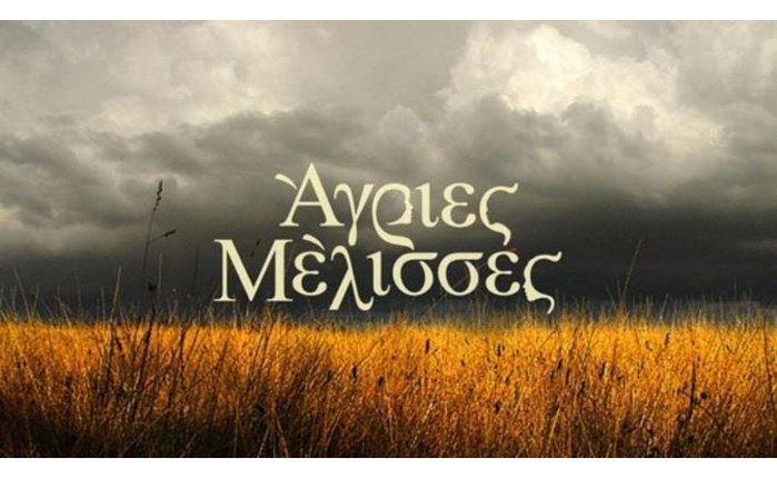 Ρεκόρ σεζόν για τις «Άγριες Μέλισσες»