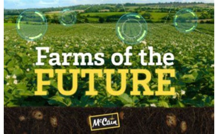 McCain Foods: Στο metaverse μέσω του roblox