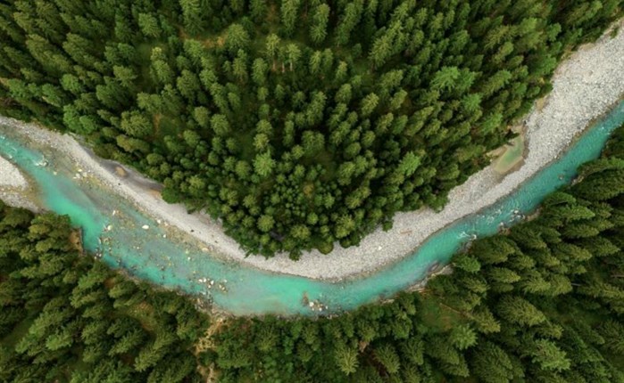  L'Oréal Fund for Nature Regeneration: Ανακοινώνει 3 νέες επενδύσεις 