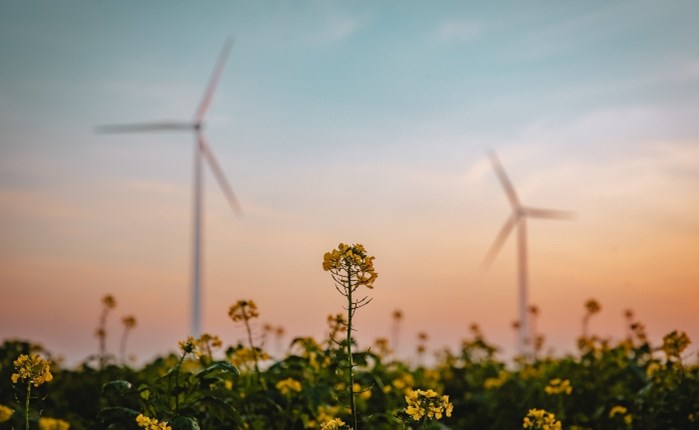 Enel Green Power Hellas: Πρωτοπόρος στην προστασία του περιβάλλοντος και την πράσινη μετάβαση
