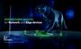 BAAS DIGITAL: Νέα συνεργασία με την ινδική Pantherun