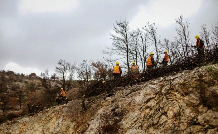ΔΕΗ: Αποκατάσταση 13.600 στρεμμάτων στην Πάρνηθα με χορηγία 2,5 εκατ. ευρώ