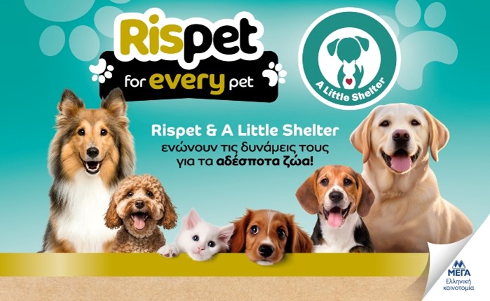 Rispet & A Little Shelter ενώνουν τις δυνάμεις τους για τα αδέσποτα ζώα