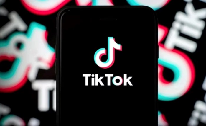 TikTok: Τα «κλειδιά» για την προστασία και την ασφάλεια των νέων στην πλατφόρμα
