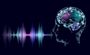 Focus Bari και Voice Logica δημιουργούν το πρώτο Voice AI στην Έρευνα Αγοράς