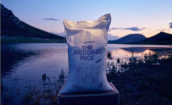 ΜcCann Athens: Nέα ιστορική επιτυχία - Grand Prix στα Eurobest Αwards