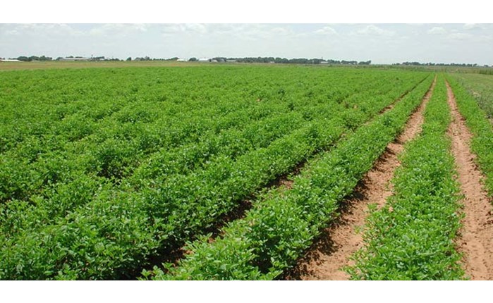 Spec για την Κοινή Γεωργική Πολιτική