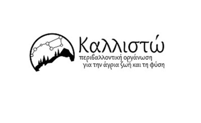 Καλλιστώ: Σεμινάριο για social media