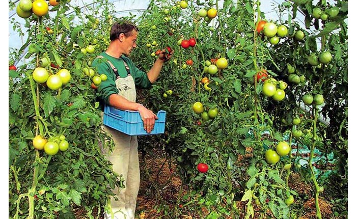 Spec 3,5 εκατ. ευρώ από την ΠΕΣ