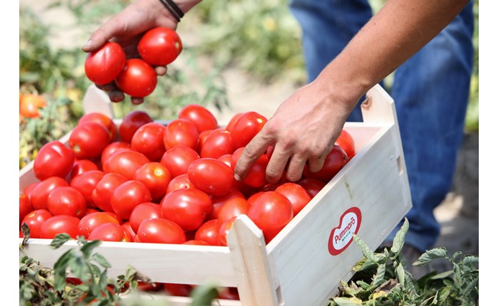 ΕΛΑΪΣ-Unilever: Διάκριση στα Ευρωπαϊκά Βραβεία για το Περιβάλλον