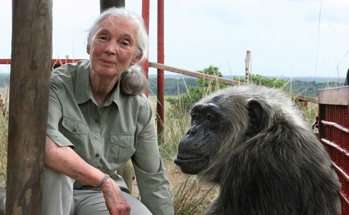 H διάσημη Explorer του National Geographic, Dr. Jane Goodall στην Ελλάδα