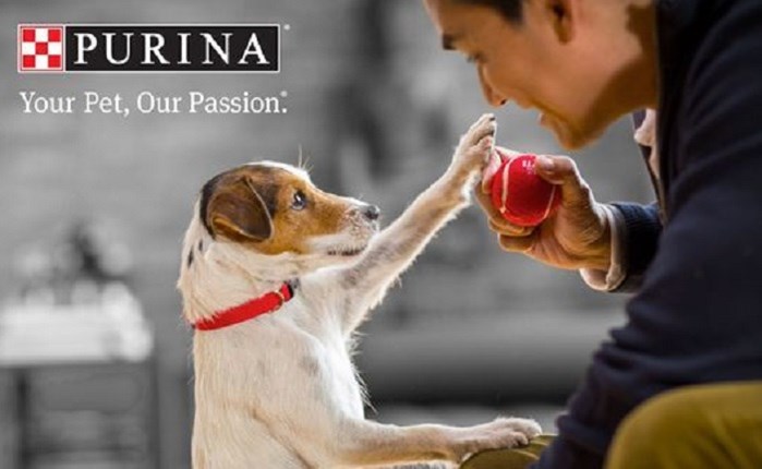 Στην MRM//McCANN Athens ο digital λογαριασμός της Purina