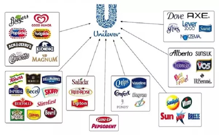 Unilever: Διαθέτει τα περισσότερα δημοφιλή brands στον κόσμο